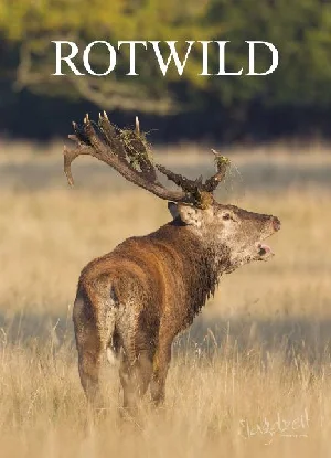 Bild von ROTWILD