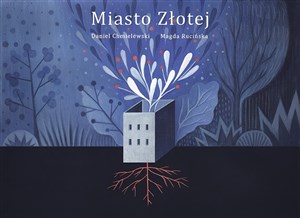 Bild von Miasto Złotej