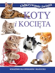 Bild von Koty i kocięta Wskazówki dla opiekunów i właścicieli