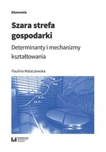 Obrazek Szara strefa gospodarki Determinanty i mechanizmy kształtowania