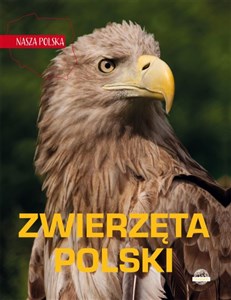 Obrazek Nasza Polska Zwierzęta Polski