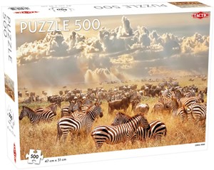 Obrazek Puzzle Zebra Herd 500 elementów