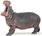 Hipopotam - Ksiegarnia w niemczech