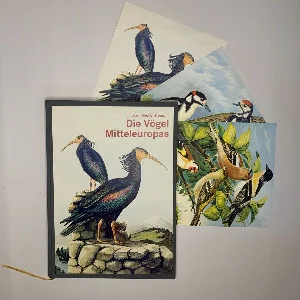 Bild von NAUMANN, J: VÖGEL MITTELEUROPAS (LUXUSAUSGABE IM GROßFORMAT)