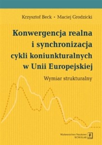 Obrazek Konwergencja realna i synchronizacja cykli koniunkturalnych w Unii Europejskiej Wymiar strukturalny