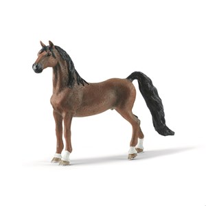 Bild von Koń Saddlebred SLH13913