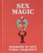 Sex Magic ... - Amy Hale -  fremdsprachige bücher polnisch 