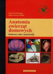 Obrazek Anatomia zwierząt domowych Kolorowy atlas i podręcznik