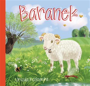 Bild von Baranek