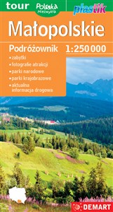 Bild von Województwo małopolskie Podróżownik mapa turystyczna 1:250 000