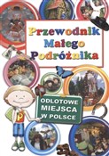 Przewodnik... - Agata Grabowska - buch auf polnisch 