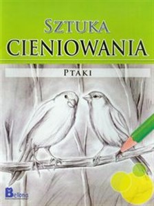 Obrazek Sztuka cieniowania Ptaki