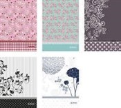 Brulion B5... -  fremdsprachige bücher polnisch 