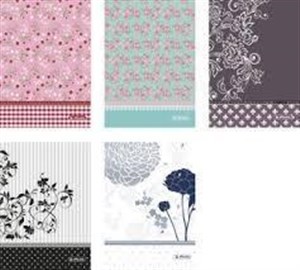 Obrazek Brulion B5/120K kratka Ladylike (5szt)