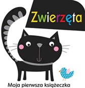 Książka : Moja pierw... - Maxine Davenport, Cindy Roberts