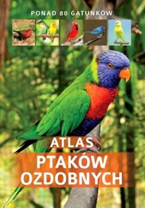 Bild von Atlas ptaków ozdobnych
