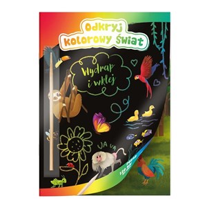 Bild von Kolorowanka Odkryj kolorowy świat Nr 405