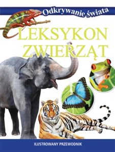 Obrazek Leksykon zwierząt Ilustrowany przewodnik