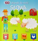 Polnische buch : 100 okiene...