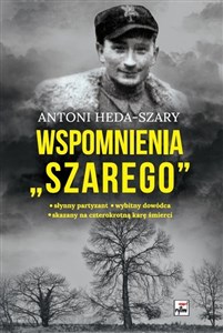 Bild von Wspomnienia "Szarego"