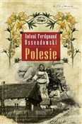 Polesie - Antoni Ferdynand Ossendowski -  Polnische Buchandlung 