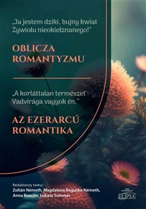 Obrazek Oblicza romantyzmu