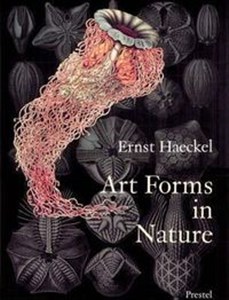 Bild von Art Forms in Nature Prints of Ernst Haeckel