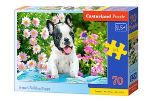 Obrazek Puzzle French Bulldog Puppy 70 B-070152