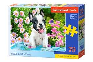 Bild von Puzzle French Bulldog Puppy 70 B-070152