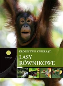 Obrazek Lasy równikowe