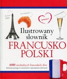 Bild von Ilustrowany słownik francusko-polski