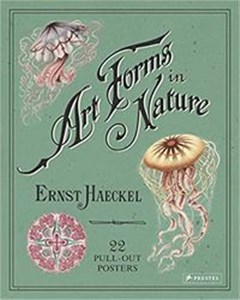 Obrazek Art Forms in Nature Poster Book