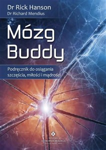 Obrazek Mózg Buddy