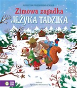 Książka : Zimowa zag... - Katarzyna Pruszkowska-Sokalla