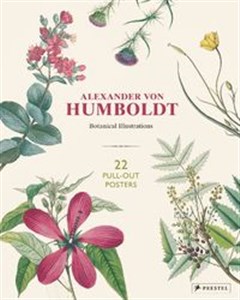 Bild von Alexander von Humboldt: Botanical Illustrations 22 pull-out posters