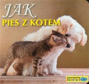 Bild von Jak pies z kotem