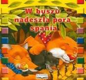 W buszu na... - Joanna Kiszkurno -  fremdsprachige bücher polnisch 