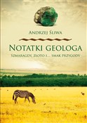 Polnische buch : Notatki ge... - Andrzej Śliwa
