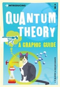 Bild von Introducing Quantum Theory a graphic guide