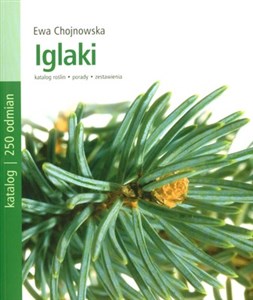 Obrazek Iglaki