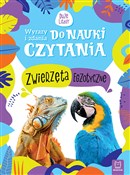 Polska książka : Zwierzęta ... - Monika Basiejko