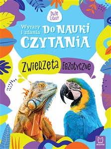 Bild von Zwierzęta egzotyczne. Wyrazy i zdania do nauki czytania. Duże litery