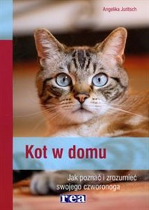 Bild von Kot w domu Jak poznać i zrozumieć swojego czworonoga