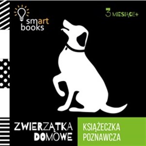 Obrazek Zwierzątka domowe Książeczka poznawcza Wiek 3m+