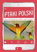 Zobacz : Ptaki Pols... - Anna Przybyłowicz, Łukasz Przybyłowicz