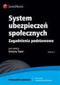 System ube... - Grażyna Szpor, Zofia Kluszczyńska, Wiesław Koczur -  polnische Bücher