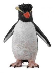 Obrazek Pingwin rockhopper