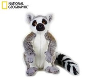 Obrazek Lemur