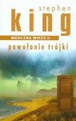 Polnische buch : Mroczna wi... - Stephen King