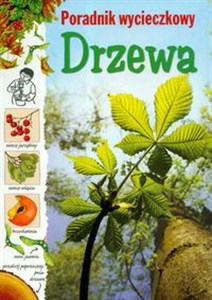 Obrazek Drzewa poradnik wycieczkowy